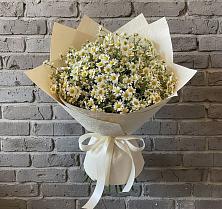 Букет цветов из:  Ромашки #REPLACE_PRED# Лежнево